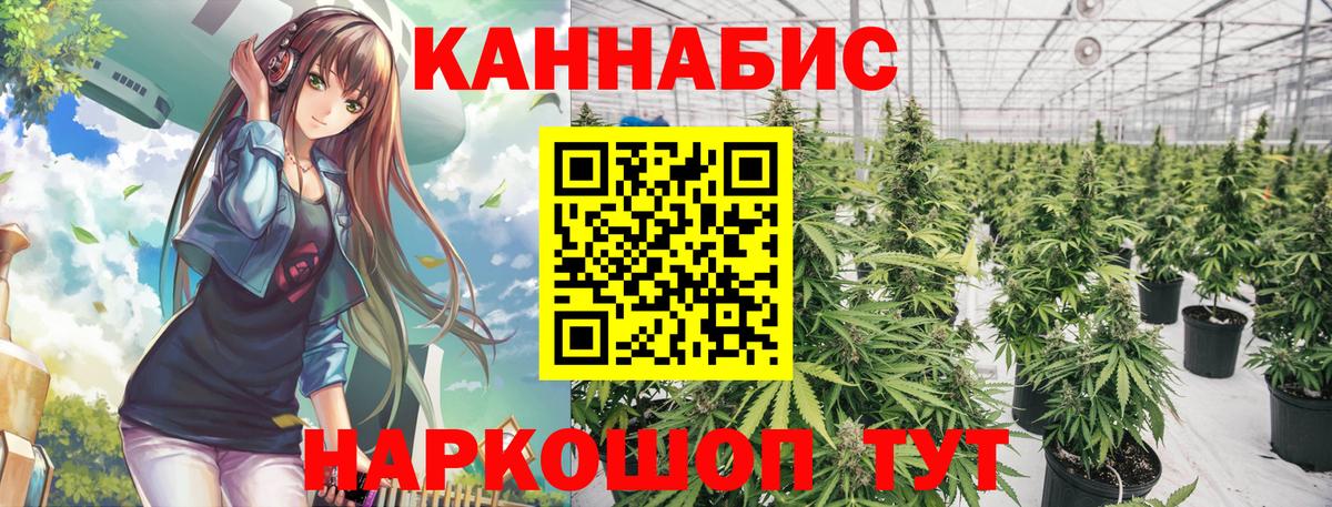 Шишки марихуана семена Вятские Поляны